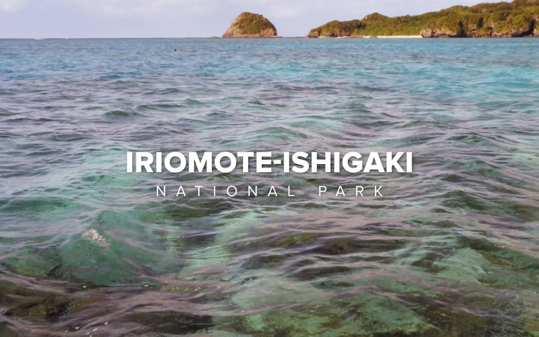 Meet the communities working to save Iriomote-Ishigaki National Park’s coral reefs (National Parks of Japan)