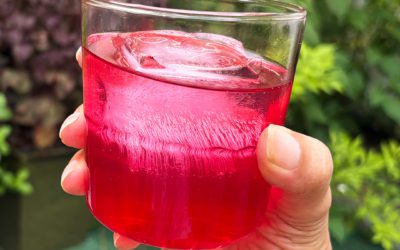 Shiso and Ginger Ale